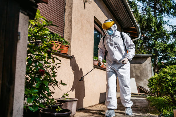 Best Affordable Pest Control Services  in Canal Fulton, OH