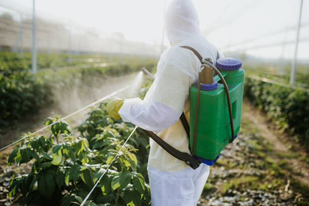 Professional Pest Control in Canal Fulton, OH